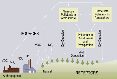 Acid rain production Acid rain production
