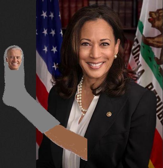 Biden is a doddering old sock puppet of superliberals AOC and Kamala Harris and his cabinet is a totally weaponized propaganda wing and hit squad for leftist overreach Biden is a doddering old sock puppet of superliberals AOC and Kamala Harris and his cabinet is a totally weaponized propaganda wing and hit squad for leftist overreach