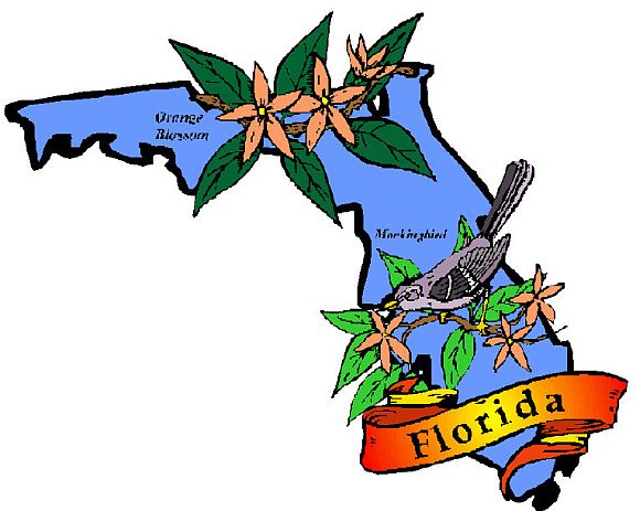 Florida—Home of Shapiro Florida—Home of Shapiro