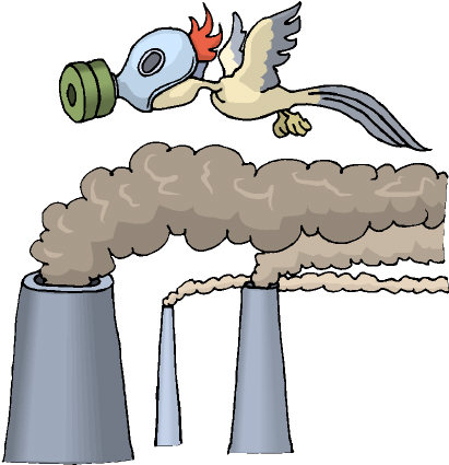 Air pollution makes bird wear gas mask—such interference with the ecological community is causing new viruses Air pollution makes bird wear gas mask—such interference with the ecological community is causing new viruses