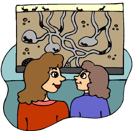 Ants are born knowing how to care for their young. People? Not so much! Ants are born knowing how to care for their young. People? Not so much!