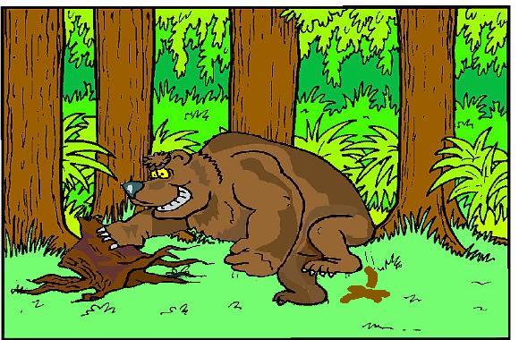Bears poop in the woods Bears poop in the woods