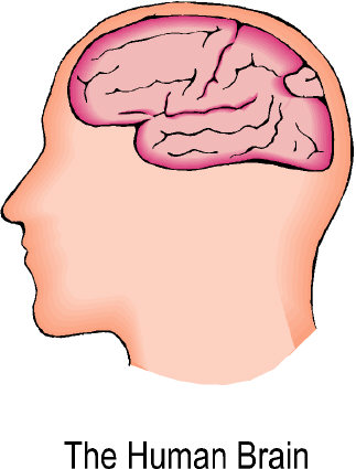 What we need is brains dedicated to finding out how to form good character (like this website) What we need is brains dedicated to finding out how to form good character (like this website)