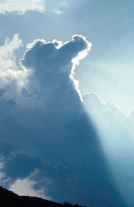 The cloud of corruption of sciences by ideologies has a bit of a silver lining The cloud of corruption of sciences by ideologies has a bit of a silver lining