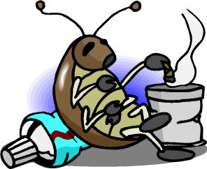 After people, life on Earth will survive just fine, especially cockroaches After people, life on Earth will survive just fine, especially cockroaches