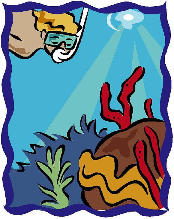We are told that all the coral reefs will die by 2100 from overheating when in fact the most diverse coral reefs are found in the warmest oceans in the world We are told that all the coral reefs will die by 2100 from overheating when in fact the most diverse coral reefs are found in the warmest oceans in the world