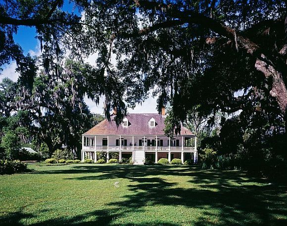 Cotton plantation Cotton plantation