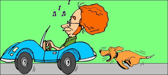 What happens when the dog chasing the car actually catches it? The dog experiences just how painfully unsatisfying it is to chew tires or bite bumpers. It is time to rename the Democrats with the name Dumbocrats! What happens when the dog chasing the car actually catches it? The dog experiences just how painfully unsatisfying it is to chew tires or bite bumpers. It is time to rename the Democrats with the name Dumbocrats!