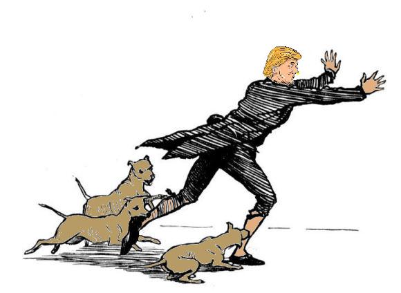 The New York Times, a mouthpiece for the globalist agenda, attacked Donald Trump throughout the 2016 campaign for president, and it and the rest of the mainstream media have kept attacking him ever since because of the president’s antiglobalist rhetoric The New York Times, a mouthpiece for the globalist agenda, attacked Donald Trump throughout the 2016 campaign for president, and it and the rest of the mainstream media have kept attacking him ever since because of the president’s antiglobalist rhetoric