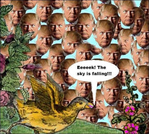 Liberal elites were terrified that THE SKY IS FALLING when Trump began exposing the lies, corruption and hypocrisy in their political correctness, identity politics, and open border frauds Liberal elites were terrified that THE SKY IS FALLING when Trump began exposing the lies, corruption and hypocrisy in their political correctness, identity politics, and open border frauds