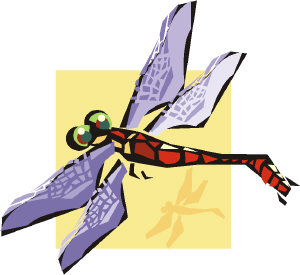 Brannen examines the fossil record—which is rife with creatures like dragonflies the size of sea gulls Brannen examines the fossil record—which is rife with creatures like dragonflies the size of sea gulls
