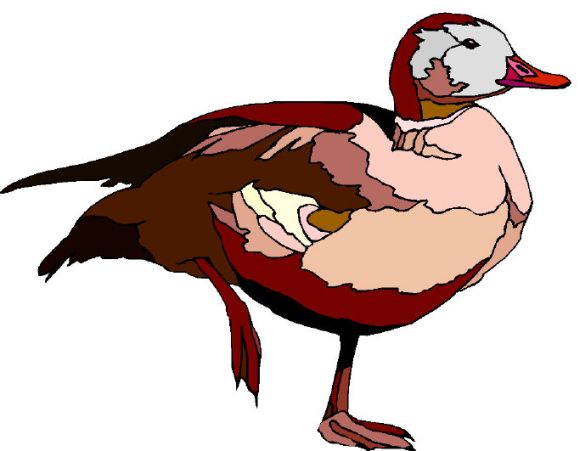 'Let's see now: It looks an awfully lot like a duck, and it quacks an awfully lot like a duck, and it walks an awfully lot like a duck—I wonder what it is?' 'Let's see now: It looks an awfully lot like a duck, and it quacks an awfully lot like a duck, and it walks an awfully lot like a duck—I wonder what it is?'