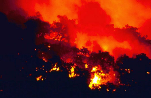 Rooted in biblical fantasies of great floods and great fires, neo-liberal policies possess a logic that leads ineluctably toward violence Rooted in biblical fantasies of great floods and great fires, neo-liberal policies possess a logic that leads ineluctably toward violence