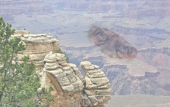 As we gaze trembling into the abyss of extinction, we look even closer, and we see the abyss looking back
