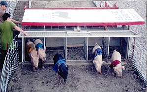 out of the starting gate out of the starting gate