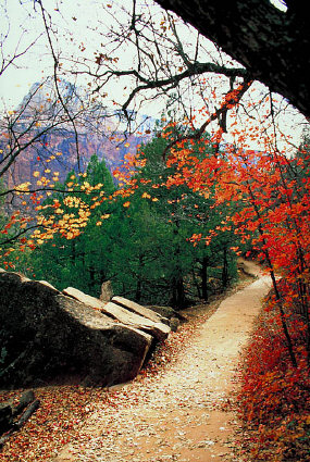 The path to the MC movement The path to the MC movement