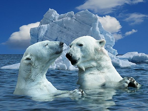 'What could possibly cause all this melting ice? My money's on all those long, hot stinkers you've been letting! Pee-yew! I mean, what else could it be?' 'What could possibly cause all this melting ice? My money's on all those long, hot stinkers you've been letting! Pee-yew! I mean, what else could it be?'