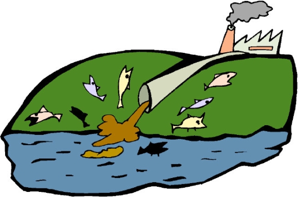 The EPA has become the Environmental Perversion Agency, deregulating everything so that the polluters and exploiters and contaminaters are having a field day