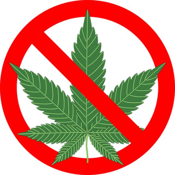 Pot—a perfect blend of legitimate and illegitimate Pot—a perfect blend of legitimate and illegitimate