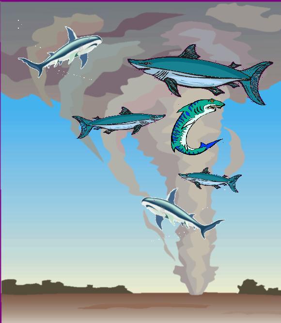 They're talking about this dumb story that President Trump wanted to nuke hurricanes. Which, by the way, I don't care whether it does anything, I just think it sounds cool. I mean, what if there are sharks in the hurricanes? What if it's a sharknado? They're talking about this dumb story that President Trump wanted to nuke hurricanes. Which, by the way, I don't care whether it does anything, I just think it sounds cool. I mean, what if there are sharks in the hurricanes? What if it's a sharknado?