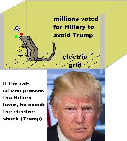 For millions, voting for Hillary was an avoidance vote, not an approach vote, as the behaviorists would say, making Trump the equivalent of an electric shock applied to a rat in a Skinner conditioning box For millions, voting for Hillary was an avoidance vote, not an approach vote, as the behaviorists would say, making Trump the equivalent of an electric shock applied to a rat in a Skinner conditioning box