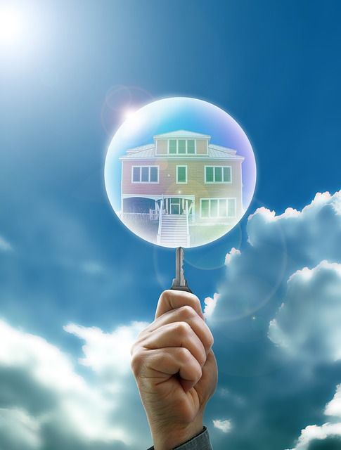 The cause of the Financial Crisis of 2007�2008 was a high default rate in the United States subprime home mortgage sector, i.e. the bursting of the 'subprime bubble'