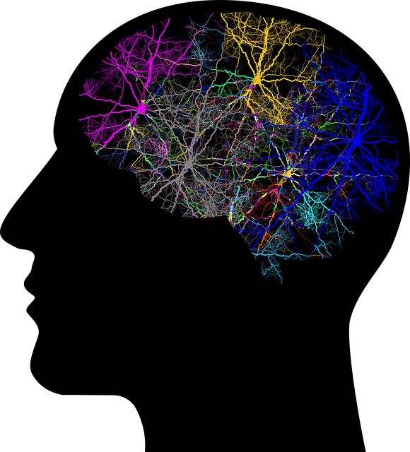Train your brain for constructive thinking Train your brain for constructive thinking