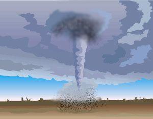 National Oceanic and Atmospheric Administration data offers evidence of a decline in tornadoes' strength since warming started—Dorothy and Toto are safe! National Oceanic and Atmospheric Administration data offers evidence of a decline in tornadoes' strength since warming started—Dorothy and Toto are safe!