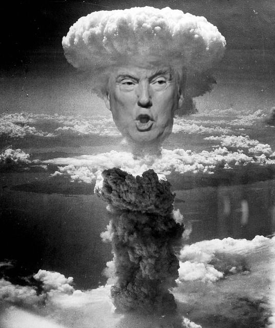 Donald Trump is the nuclear option for our times—and the last best option for making America great again Donald Trump is the nuclear option for our times—and the last best option for making America great again