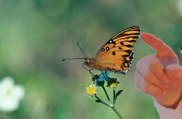 Trying to flap the wings of a butterfly to get a hurricane Trying to flap the wings of a butterfly to get a hurricane