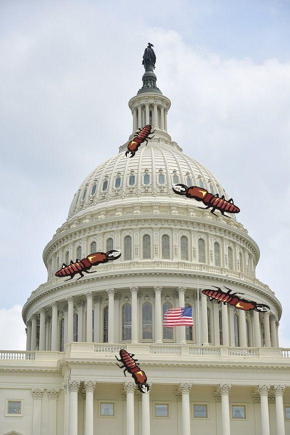 Radicals not only plotted to devour virtually every institution and facet of American society, but have succeeded in their infiltration—here they eat the Capitol Radicals not only plotted to devour virtually every institution and facet of American society, but have succeeded in their infiltration—here they eat the Capitol