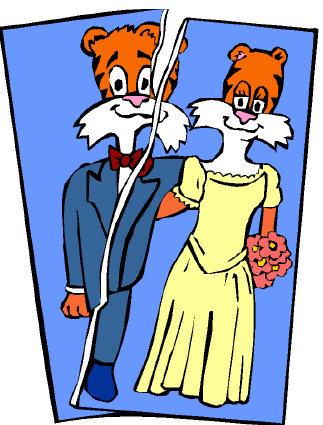 Divorce Divorce