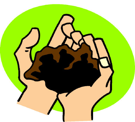 Good, rich soil Good, rich soil