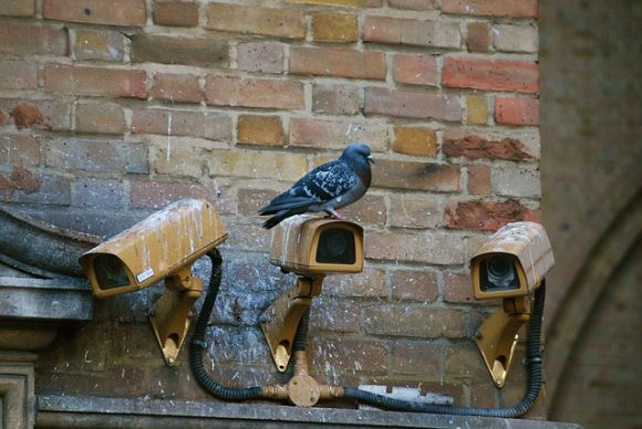 Security cameras watch you everywhere—apparently not only Santa is checking whether you're naughty or nice Security cameras watch you everywhere—apparently not only Santa is checking whether you're naughty or nice