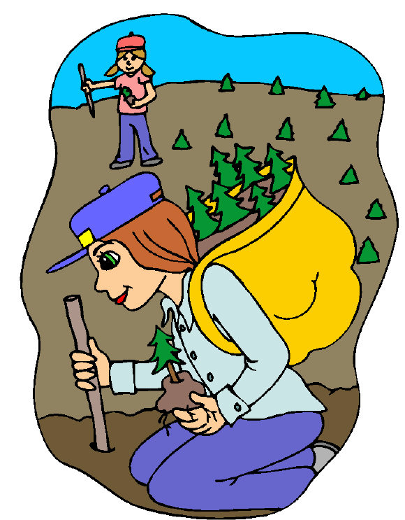Planting trees